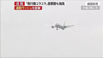 Экстремальную посадку авиалайнера в тайфун сняли на камеры
