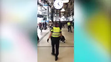 Неизвестный напал с ножом на посетителей вокзала в Амстердаме