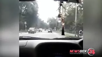 Наезд 15-летнего водителя на девочку засняли его друзья изнутри машины