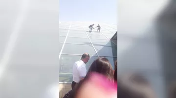 Спасение котят