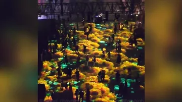 «Райский сад» оживает под ногами туристов — удивительное видео из Шанхая