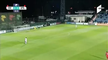 Пес прервал матч чемпионата Грузии по футболу