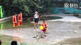 Упавший участник шоу с крокодилом поверг в панику своих коллег и насмешил зрителей