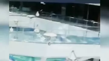 Женщина упала в аквариум с акулами во время кормления