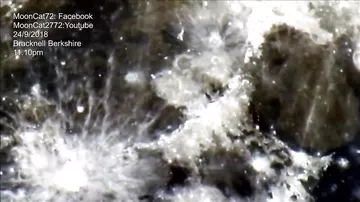 Astronavt yad uçan cismin videosunu paylaşdı – NASA günahkardır