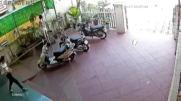 Собака вернула потерянные деньги мотоциклистке во Вьетнаме