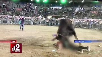 В США во время родео пьяный зритель решил сделать селфи с быком, но пожалел об этом
