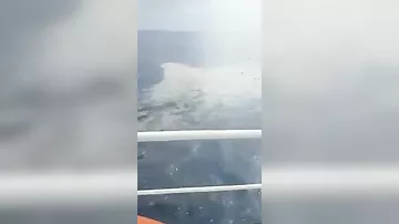 Опубликовано видео с места падения индонезийского Boeing