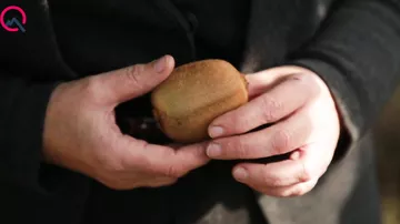 “Bizdən 55 qəpiyə alıb, marketdə 3.50 qəpiyə satırlar”