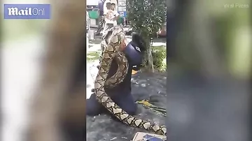 Педагог показал детям как общаться с опасными змеями