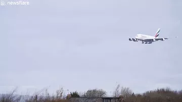 Пилот чудом посадил самолет в условиях урагана