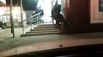 Пьяный всадник заехал на лошади в супермаркет в Киргизии