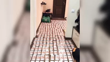 Сынишки российского бизнесмена выстлали пол в квартире 5000-ными купюрами