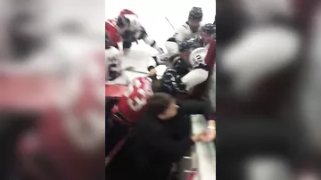 Жёсткая массовая драка произошла во время хоккейного матча в Канаде