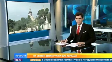 В Палестине рухнул Дуб Авраама