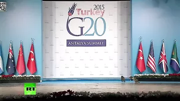 Турецкие коты прошли по следам мировых лидеров на саммите G20