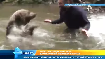 Дружелюбный медведь на Алтае подружился с турком