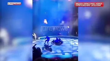 Мотоциклист улетел в зрителей на шоу в цирке на проспекте Вернадского