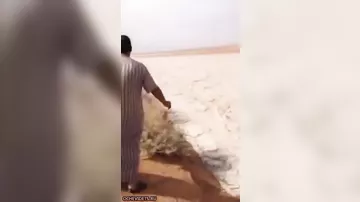 Река из песка