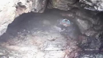 Неожиданная встреча в пещере с