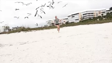Чайки гоняются за девушкой на пляже