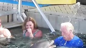 Дельфин "оплевал" посетителя дельфинария