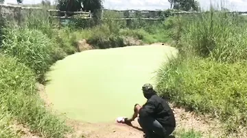 Спрятавшийся в болоте крокодил мгновенно атаковал экстремала с добычей