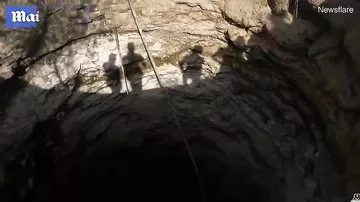Леопарды подрались и упали в колодец