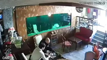 Внезапно лопнувший аквариум омрачил отдых посетителей кафе