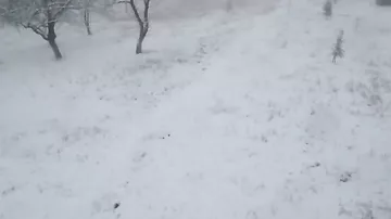 В Шемахе идет снег