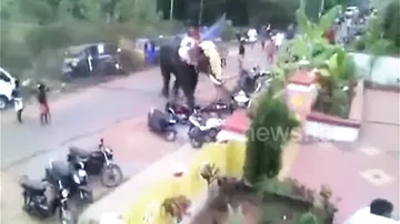 Буйный слон раскидал мотоциклы и моторикши на празднике в Индии