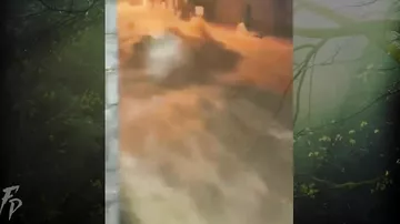Мощное наводнение и оползень в Рио-де-Жанейро, Бразилия