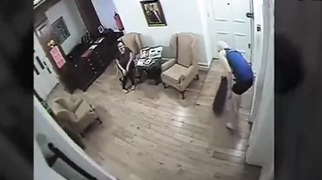 Как Ассанж жил в посольстве Эквадора: видео с камер наблюдения