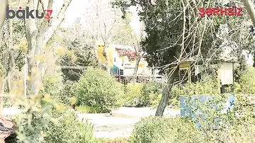 “Luna Park”da ürəkdağlayan mənzərə