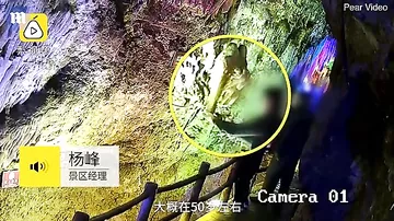 Три китайских туриста разломали на сувениры сталактит возрастом в миллион лет
