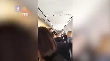 Пассажиры засняли на видео дебош и женскую драку на борту самолета