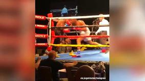 Боксеры одновременно отправили друг друга в нокдаун