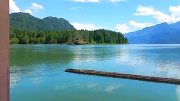 Медведица спасла тонущего медвежонка в канадском озере