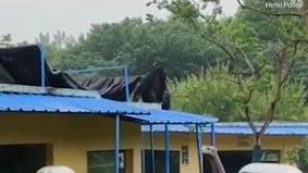 Сообразительный шимпанзе придумал способ сбежать из зоопарка