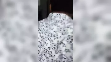 SOCAR əməkdaşlarını yaraladılar