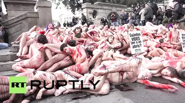 Защитники животных разделись в центре Барселоны в знак протеста