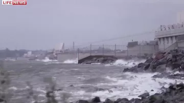 Петербургские экстремалы покорили волны Финского залива в шторм