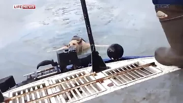 В Ярославле спасли овчарку, провалившуюся под лёд