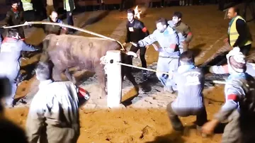 Фестиваль с быками