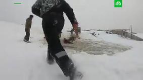 В Башкирии стадо лошадей провалилось под лед