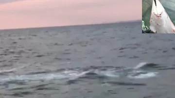 Türkiyə sahillərində ŞOK: Balıqçılar qaraltı gördü - Yaxınlaşanda...