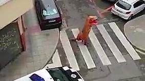 В Испании пешеходы начали одеваться в костюмы динозавров, чтобы обойти карантин