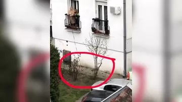 Сербская старушка придумала необычный способ выгуливать собаку во время карантина