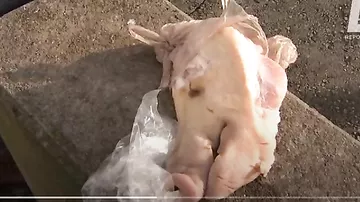 Azərbaycanla Türkiyə səfirliklərinin önünə donuz başı qoyublar...